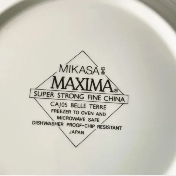 Mikasa Maxima Super Strong Fine China CAJ05 Belle Terre Set Of 4 Bowls 9” - Picture 3 of 5